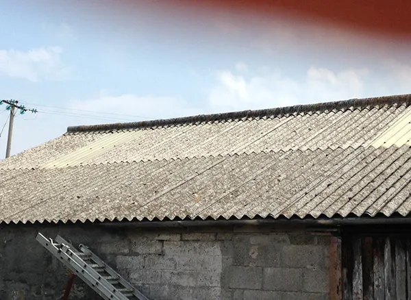Asbestos example