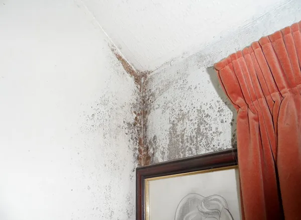 Condensation example