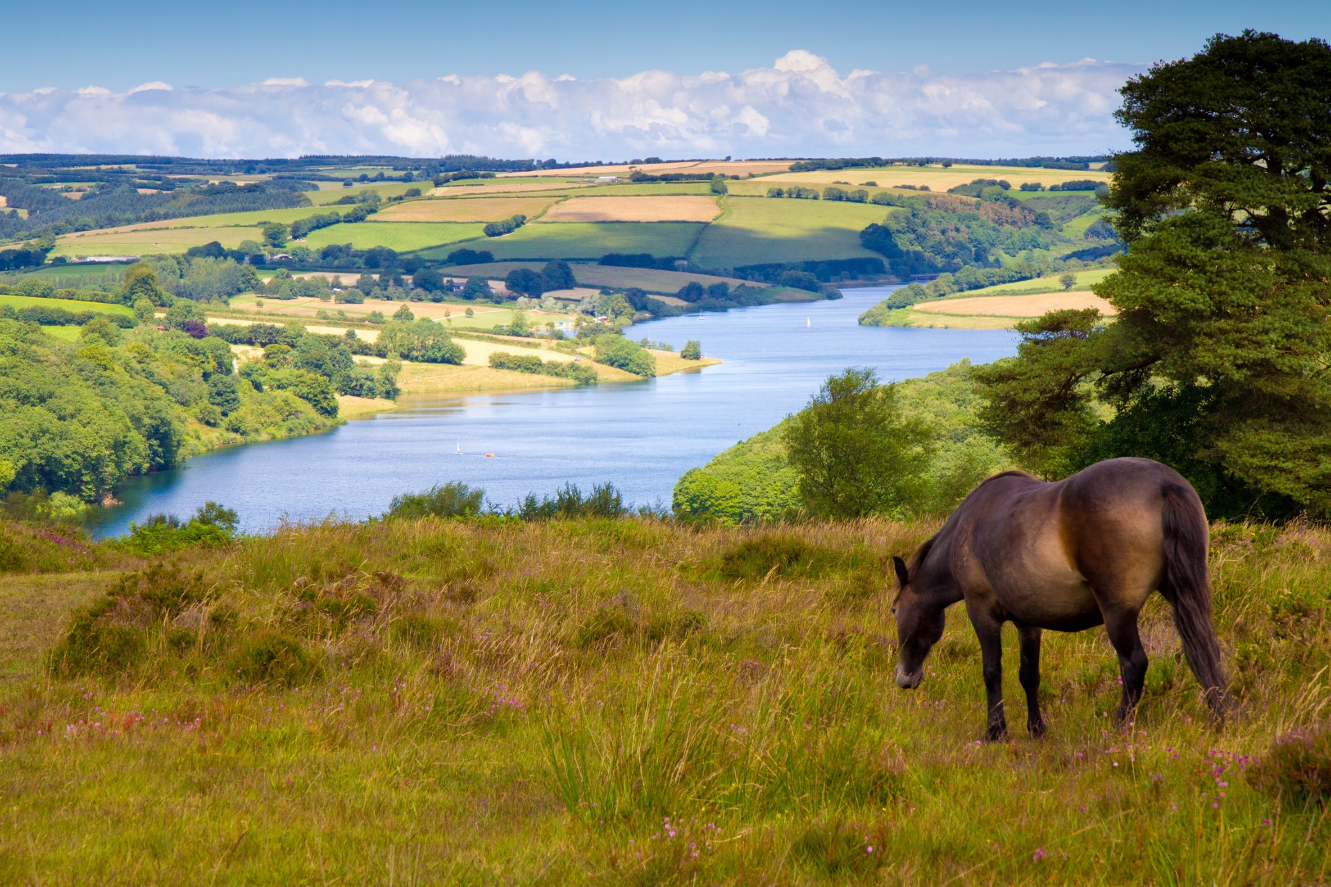 Chartered Surveyors Devon